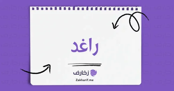 راغد